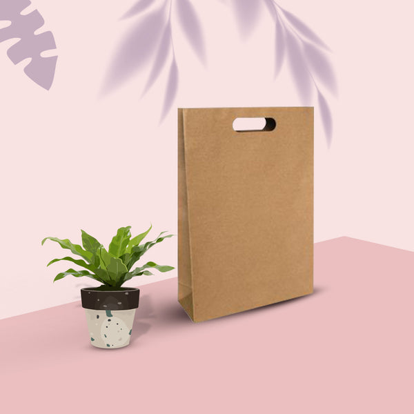 Medium Punched paper bags – Sets of 30